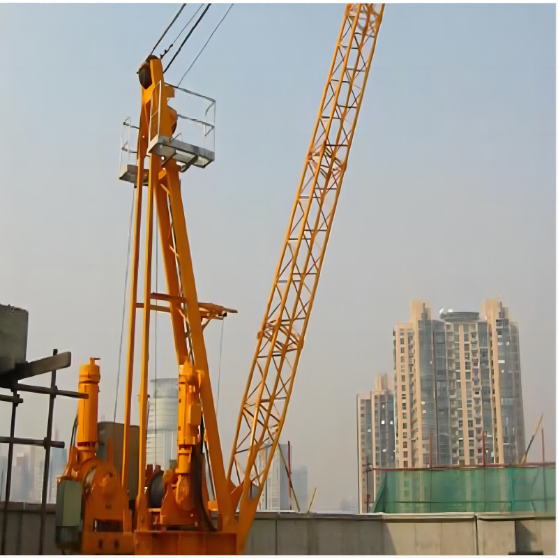 Roof Crane